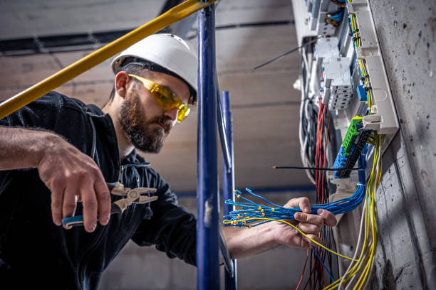 Best Home Electrical Repair  in Palmview South, TX
