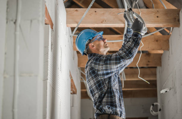 Best Commercial Electrician Services  in Palmview South, TX