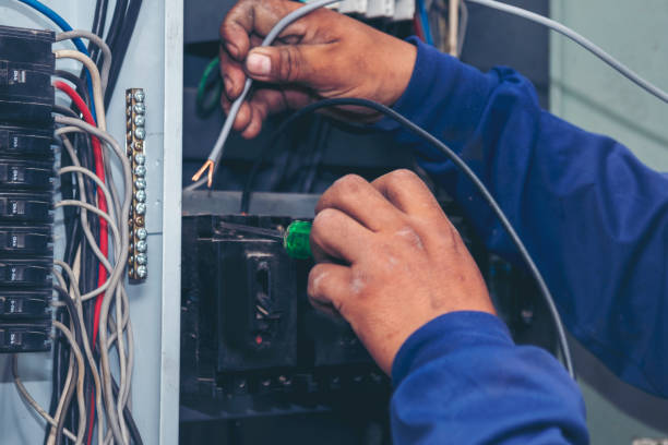 Best Home Electrical Repair  in Palmview South, TX