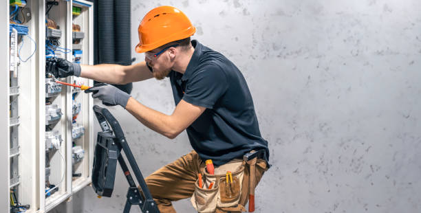 Best Residential Electrician Services  in Palmview South, TX